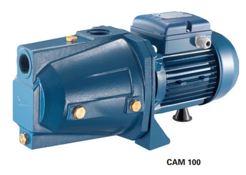 Bơm Model CAM 100 - 110