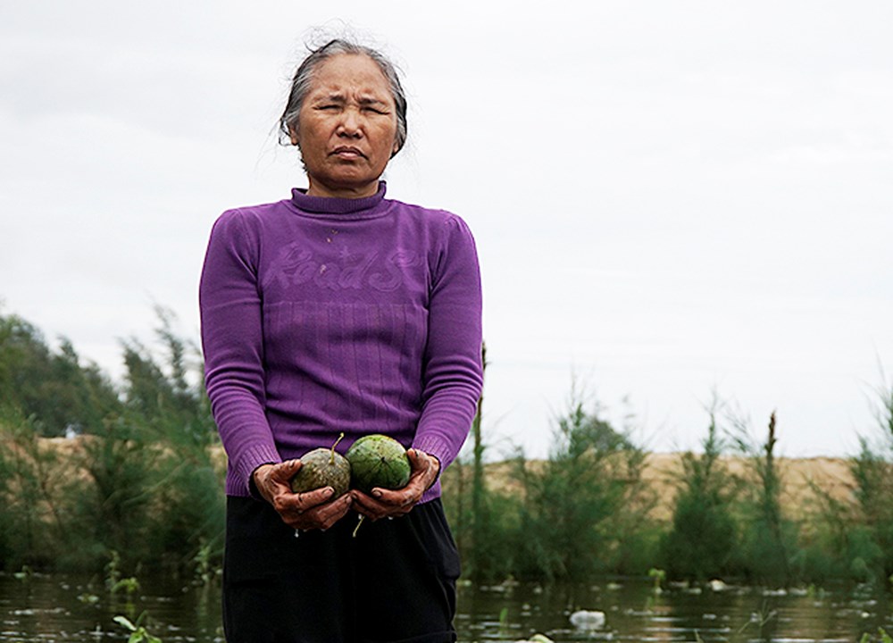 Hơn 100.000ha Lúa, Hoa Màu Ở Miền Bắc Bị Nhấn Chìm Vì Mưa Lũ