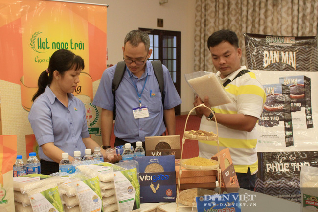 Xuất khẩu gạo vào EU thua cả Campuchia, chuyên gia khuyên doanh nghiệp nên làm gì?