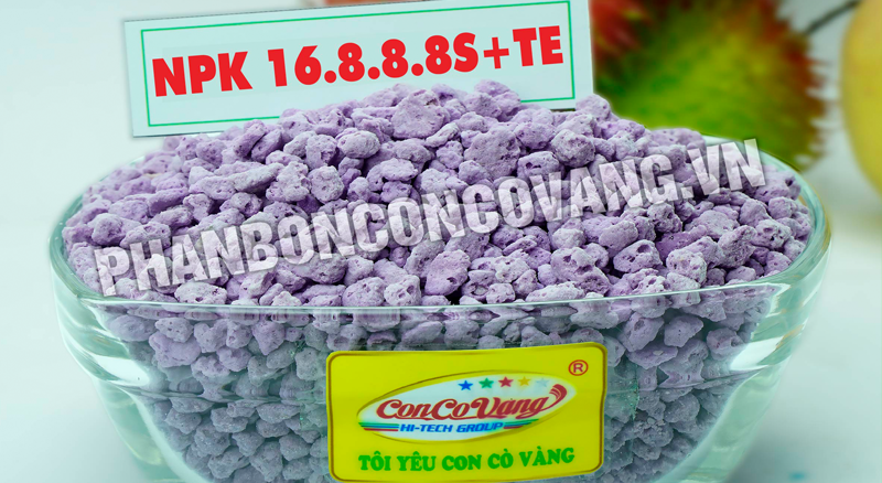 NPK Công Nghệ Hơi Nước