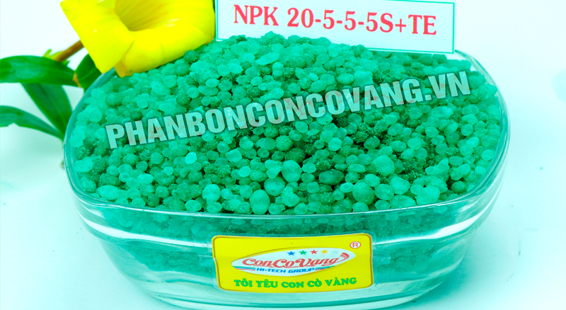 NPK Công Nghệ Isreal