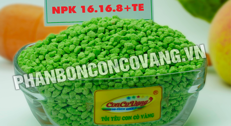 NPK Phức Hợp