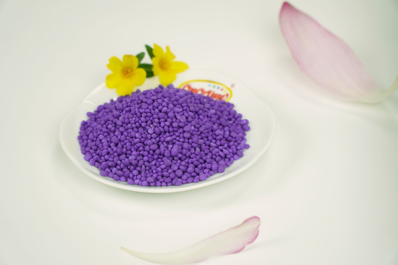 NutriTech 12.9.21+TE