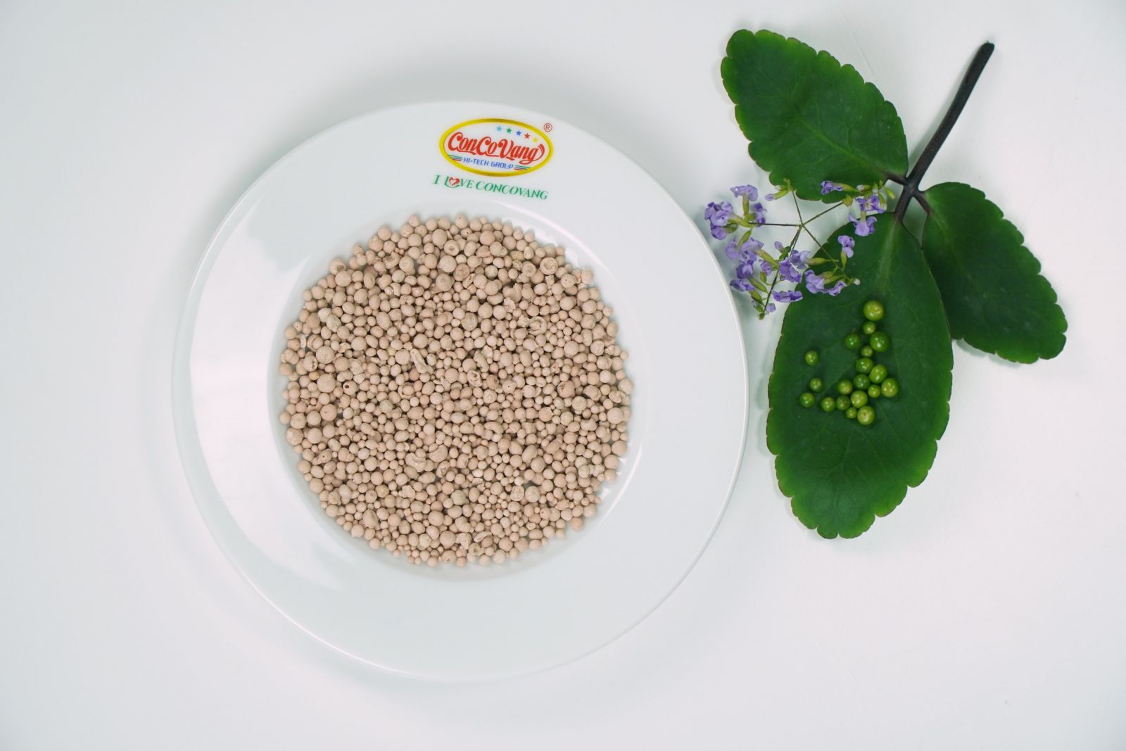 Agri_Tech NPK 20.10.10 + Bo+TE