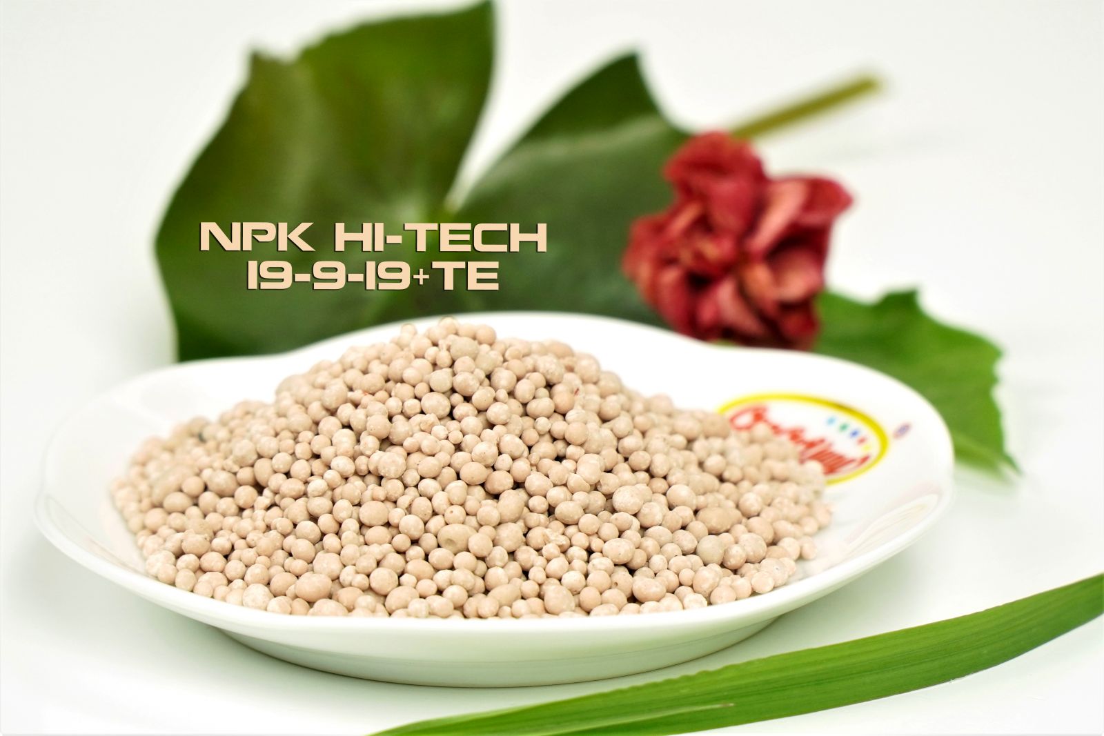 AGRI-TECH(OK) 19-19-19