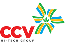 CÔNG TY CON CÒ VÀNG