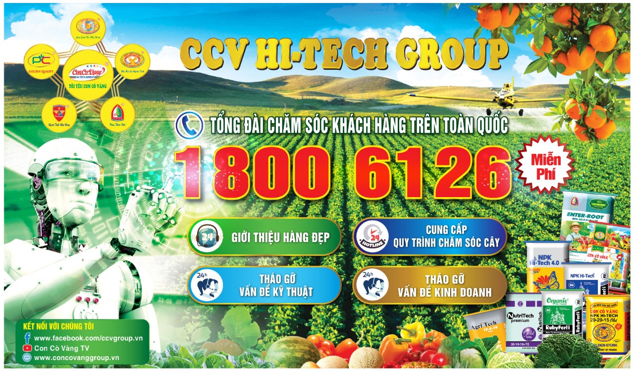 Con Cò Vàng triển khai kênh chăm sóc khách hàng miễn phí