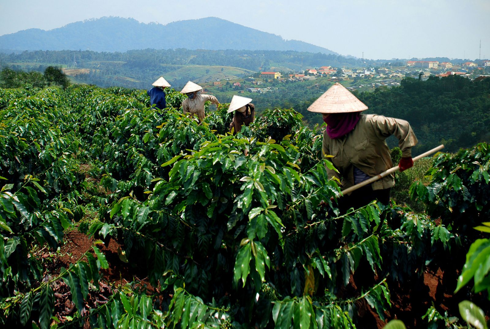 Chiều nay 28/9, Thủ tướng đối thoại với nông dân: Người dân Tây Nguyên mong chờ quyết sách đột phá cho toàn vùng