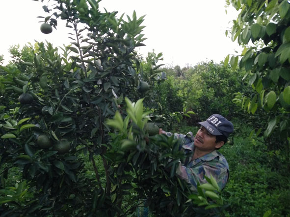 Bắt Đồi Khô Cằn 