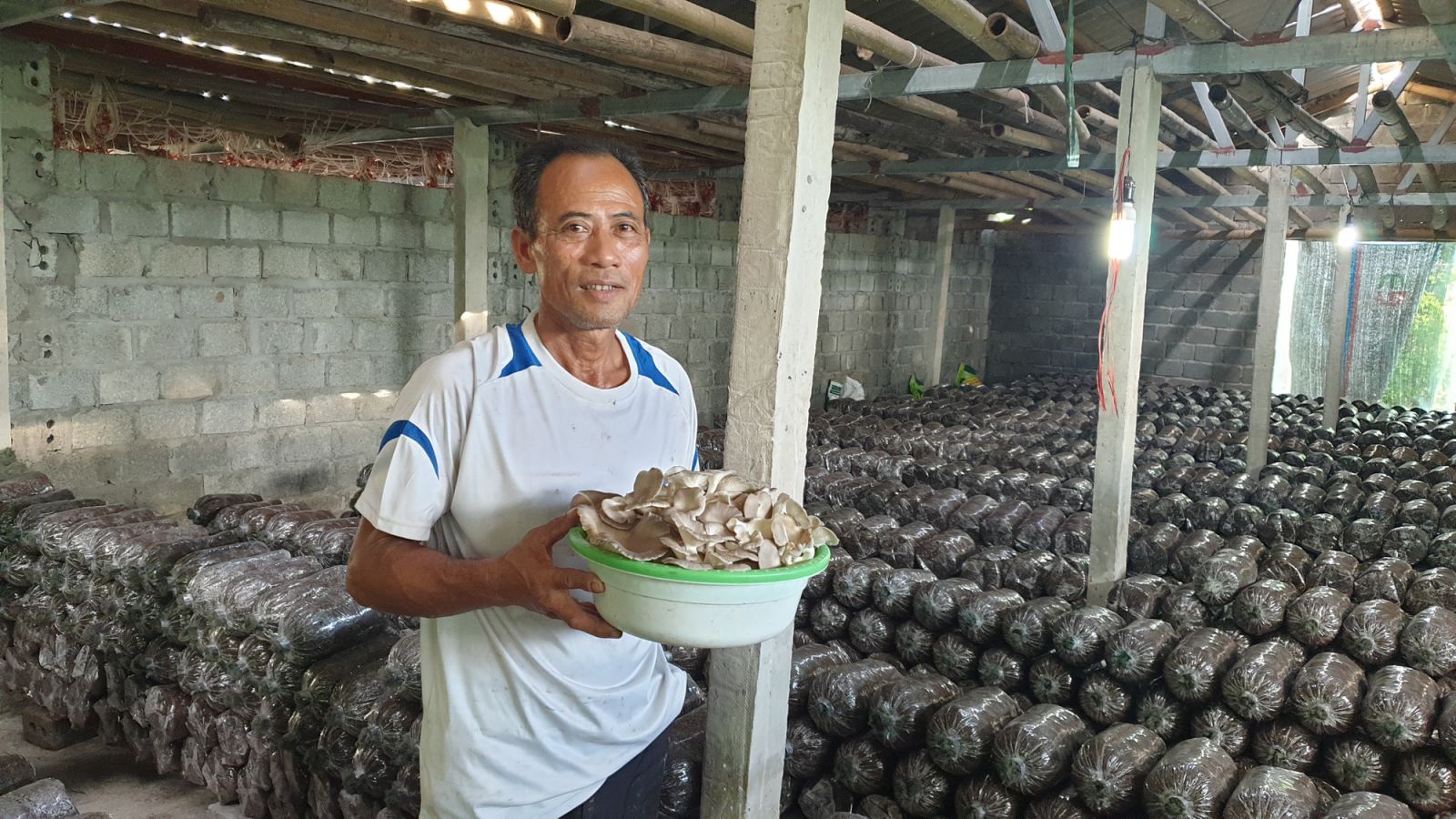 Ninh Bình: Ông nông dân này trồng thứ nấm gì trong nhà mà mỗi tháng 