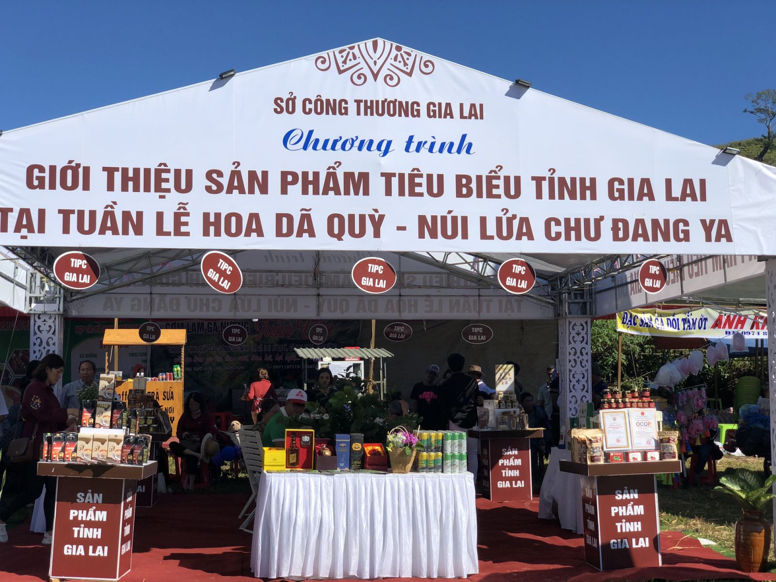 Gia Lai: Đến đây ngắm hoa dã quỳ, dự lễ hội đồi cỏ hồng, thỏa sức chọn sản phẩm OCOP