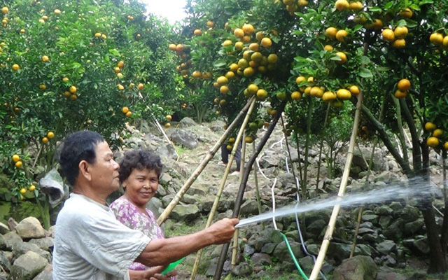 An Giang: Tranh thủ các nguồn lực để hỗ trợ nông dân vươn lên khá giả