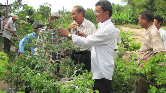 Phú Yên: Nông dân biến đất cát 