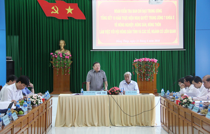 Đưa Xoài Cát Hòa Lộc Và Xoài Cát Chu Của Đồng Tháp Đi Khắp Thế Giới