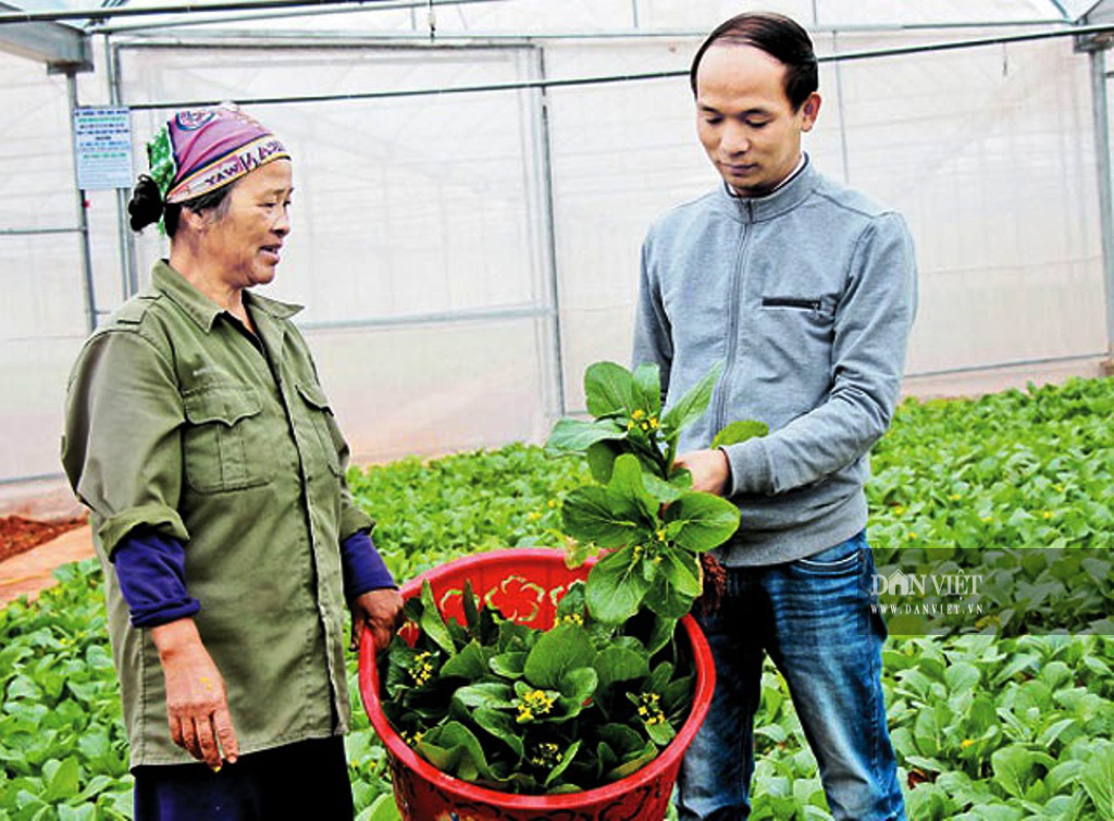 Bắc Giang: “Trải thảm đỏ” thu hút hàng nghìn tỷ đồng rót vào nông nghiệp