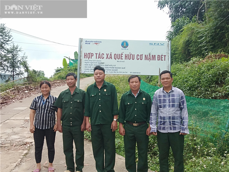 Lào Cai: Ở nơi này, nông dân trồng thứ cây bóc vỏ bán sang Tây, nhà nhà khá giả