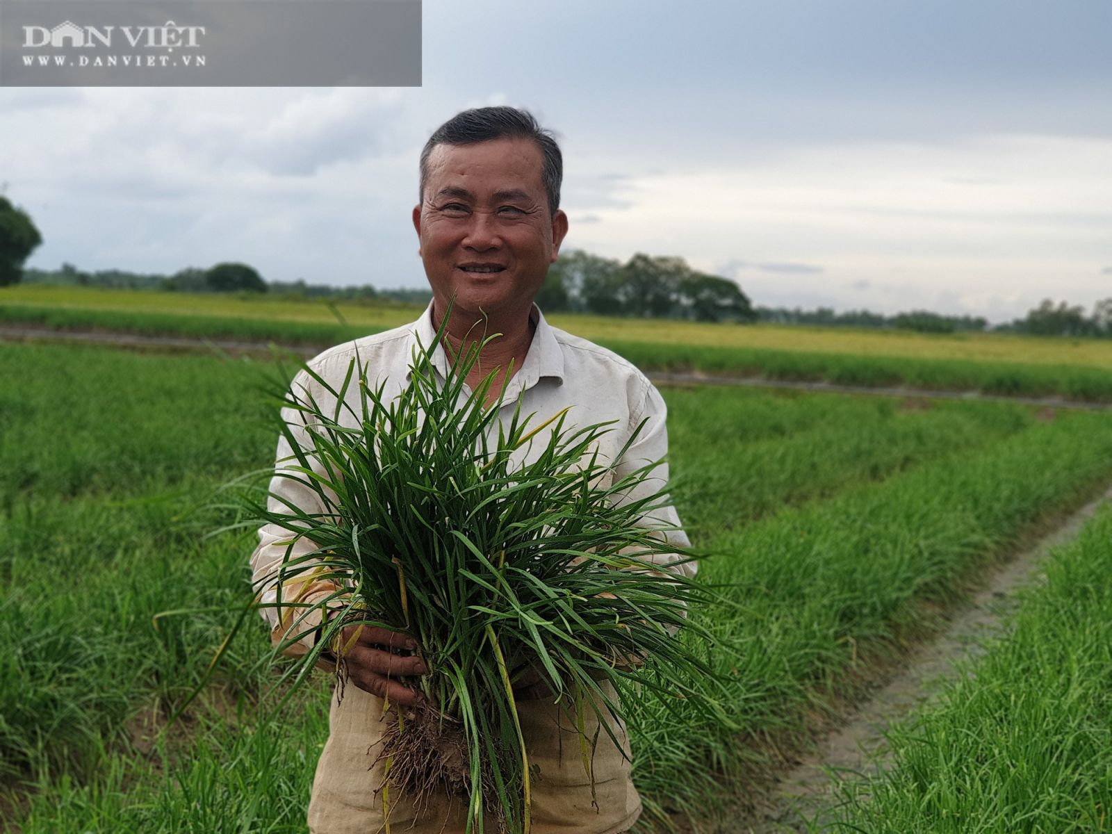 Sóc Trăng: Lạ, ông nông dân tỷ phú ngủ ở chòi lá xơ xác, trồng thứ cây như hành, bỏ hàng tỷ làm từ thiện