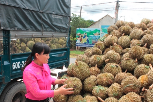 Sầu Riêng Lên 
