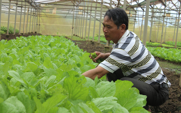 Tai Nghe Mắt Thấy: 