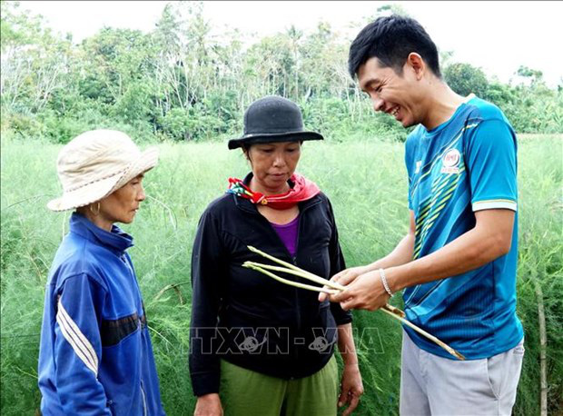 Quảng Ngãi: Cất bằng kinh doanh quốc tế, trai 9X về làng trồng 