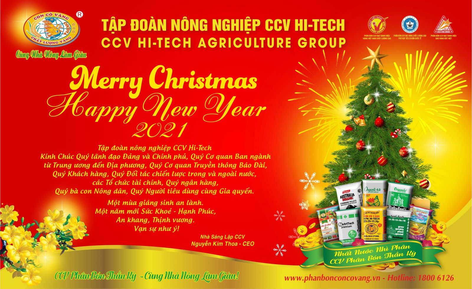 Chúc mừng giáng sinh và happy new year