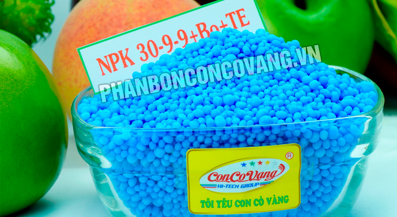 NPK Công Nghệ Hơi Nước