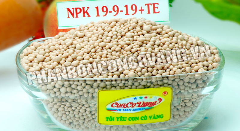 NPK Công Nghệ Tháp Cao