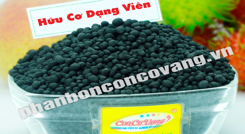 Organic Sinh Học