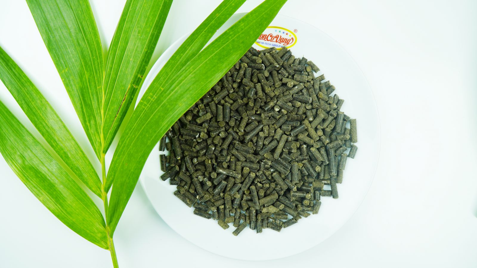 Bio Topfert