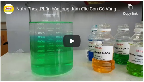Nutri Phoz PK 0-40-48