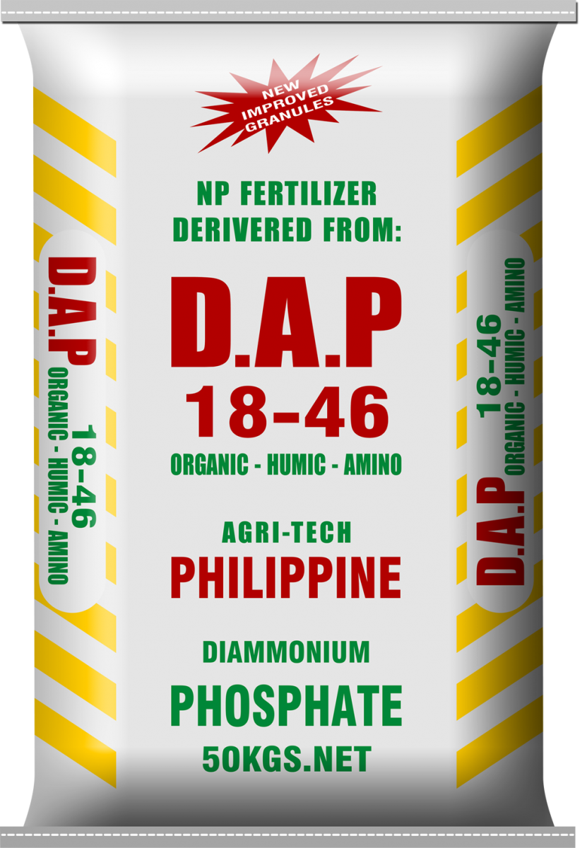 DAP PHILIPINE