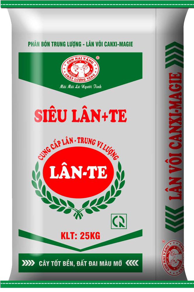 SUPER LÂN CNV