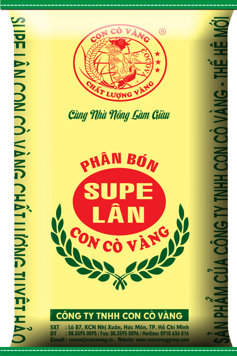 SUPER LÂN ( VÀNG )