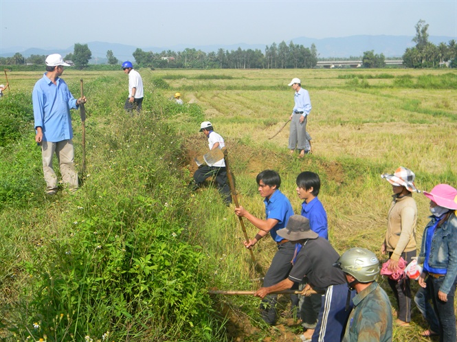 Triển Khai Mạnh Công Tác Diệt Chuột Bảo Vệ Mùa Màng