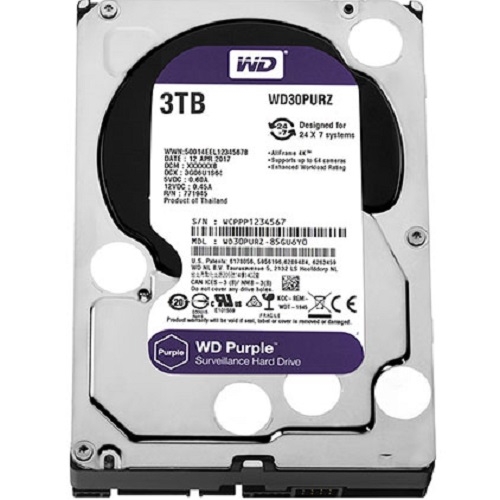 Western Purple Sata 3TB - (WD30PURZ)