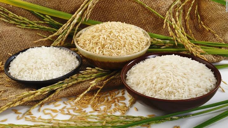 CHỌN ĐÚNG LOẠI GẠO CHO NHÀ HÀNG, QUÁN ĂN GIÚP TĂNG DOANH SỐ
