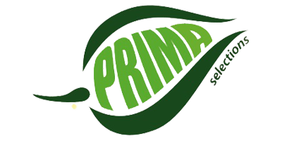 Prima