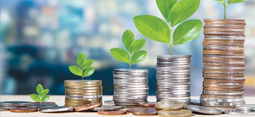 Tạo giá trị đầu tư gia tăng trung  và dài hạn