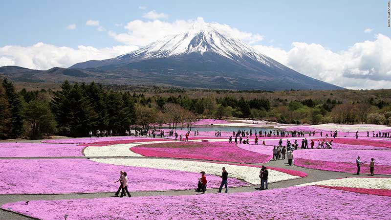 日本は外国人が日本に住むことをより簡単にします