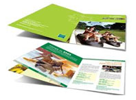 CATALOG MẪU BROCHURE