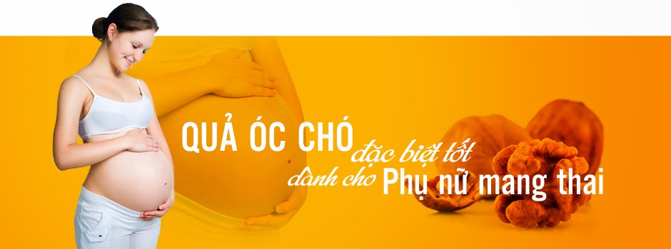 Quả óc chó có tốt cho bà bầu không