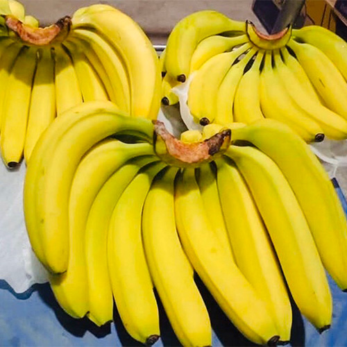 Yellow Banana