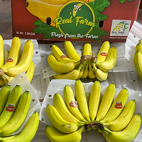 Yellow Banana