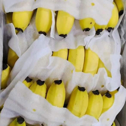 Yellow Banana