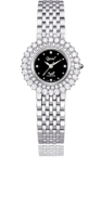 Rose Sreies Jewelry Watches