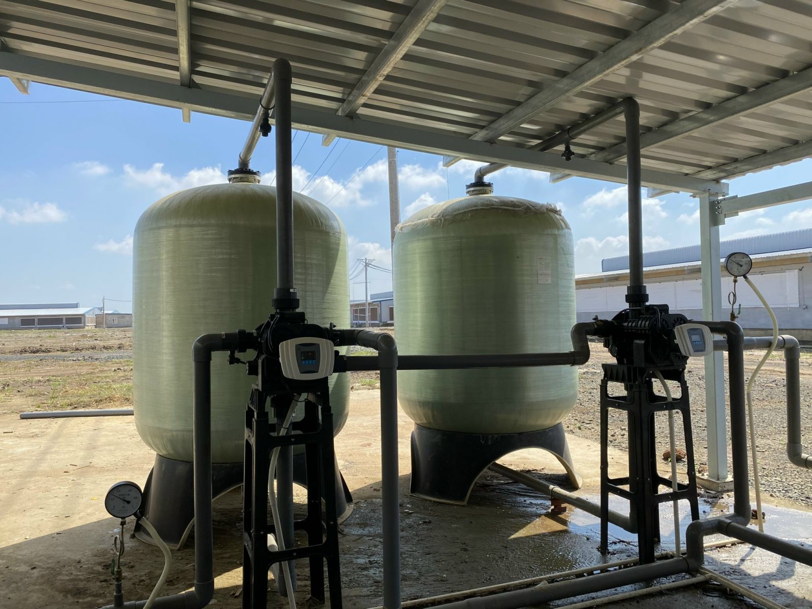 Sản phẩm RickyFarms