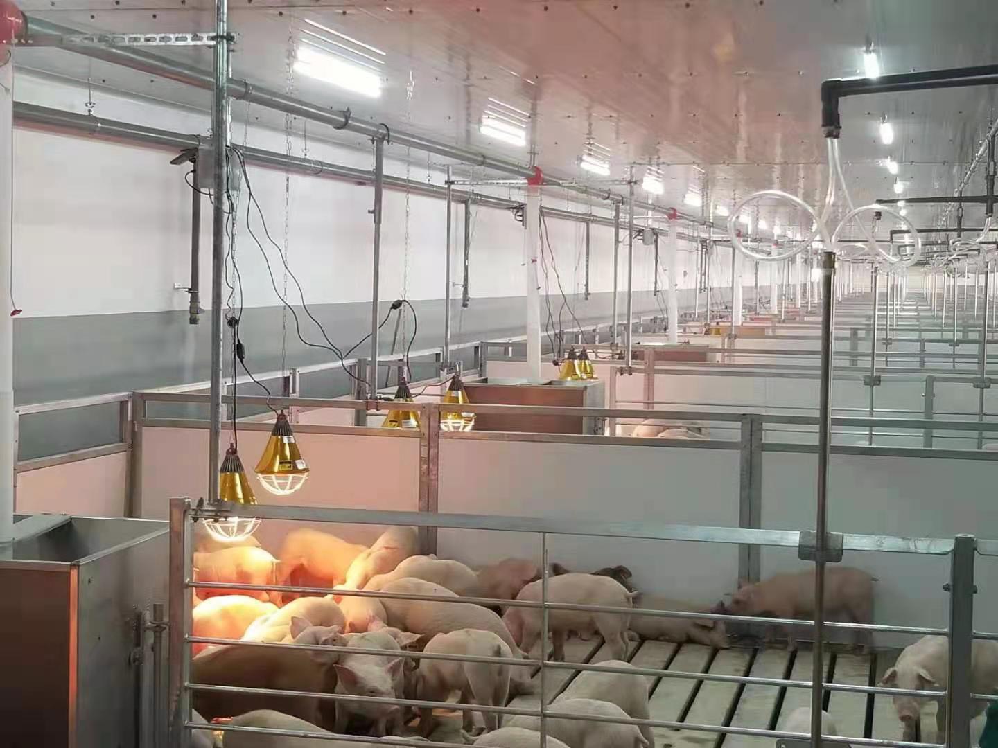 Hệ thống chuồng trại