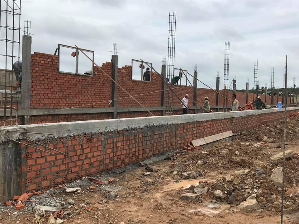 Tư vấn - thi công xây dựng hệ thống trang trại chăn nuôi