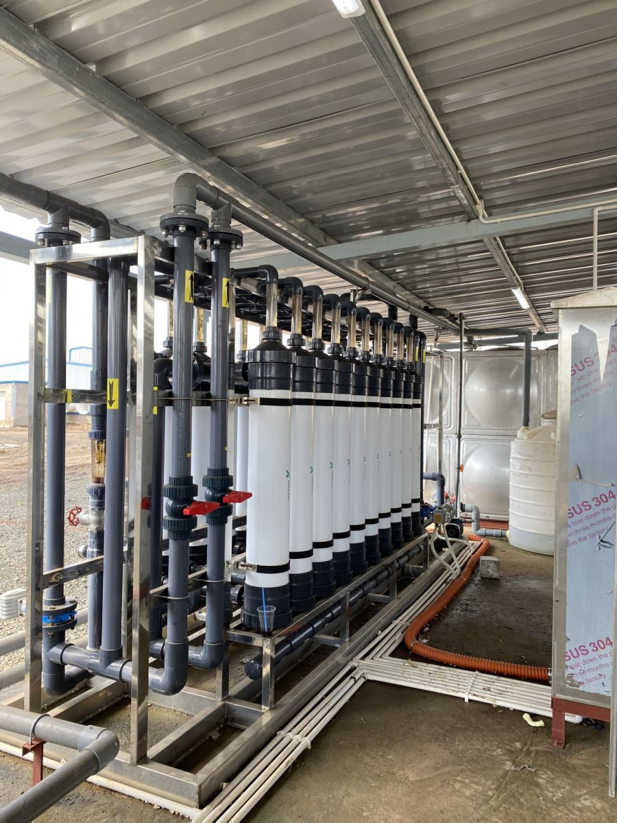 Sản phẩm RickyFarms