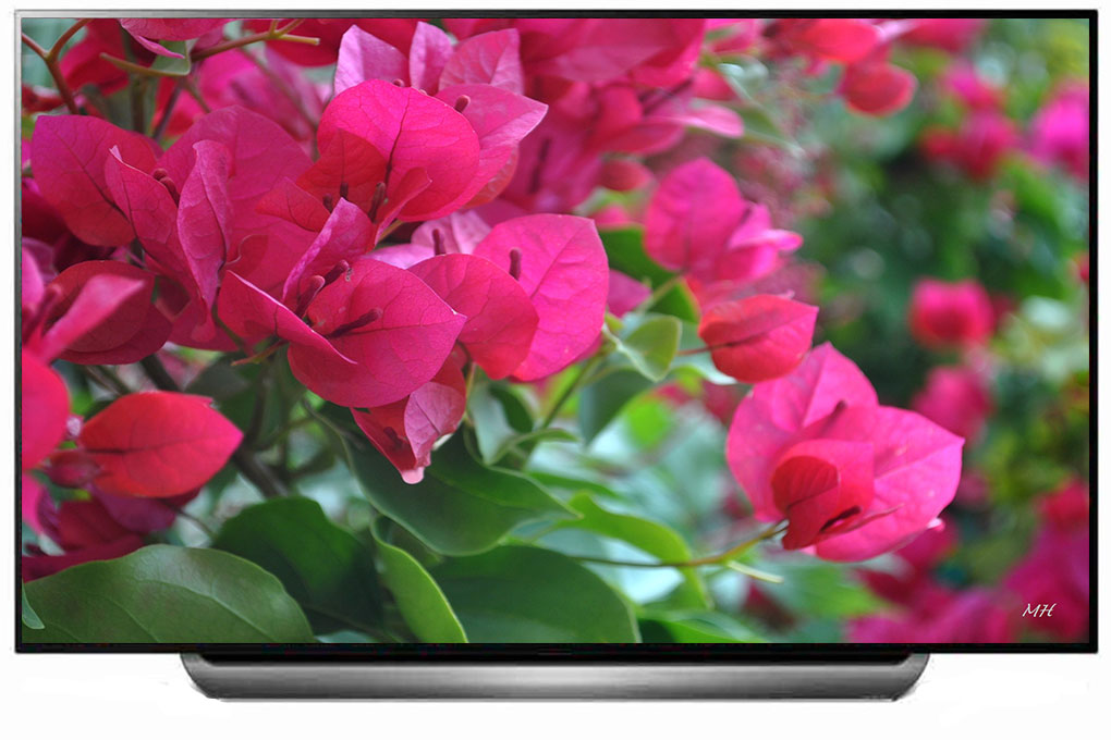 Smart Tivi OLED LG 4K 65 inch 65C9PTA - MODEL 2019